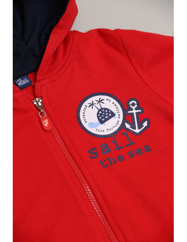 SUDADERA "ALL ABOARD"