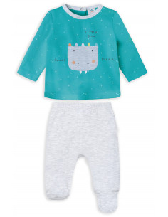 CONJUNTO POLAINA VER...