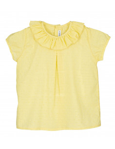 BLUSA PLUMETI MANGA CORTA