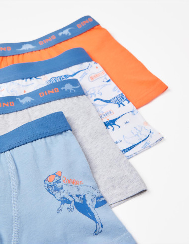 PACK BOXER ROARRR