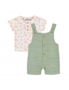 CONJUNTO PETO