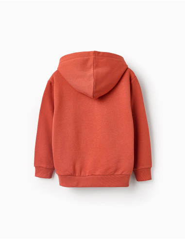 SUDADERA PERCHADA CAPUCHA MICHIGAN