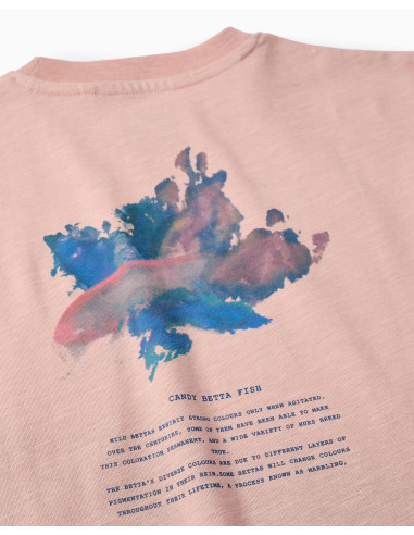 ZIPPY CAMISETA manga corta niño